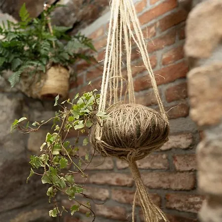 Puerta De Occidente *